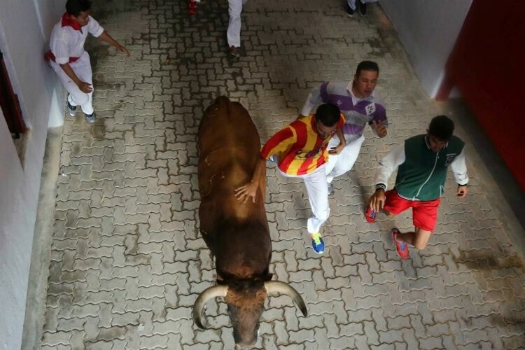 В Памплоне проходят традиционные забеги с быками