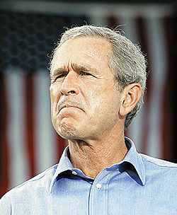 Джордж Буш, оказывается, швед / Вино «состарят» со скоростью молнии / Солнцезащитные средства разрушают «щитовидку»