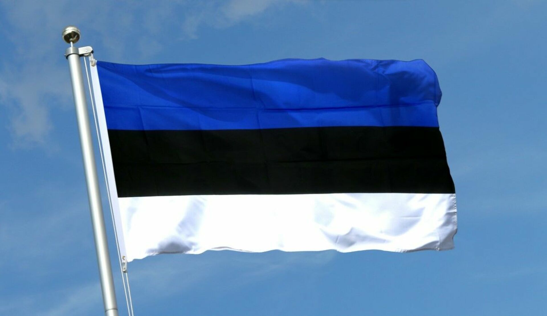 Эстония планирует. Флаг Эстонии. Флаг Эстонии и эстонцы. Флаг Эстонии 1939. Estonia флаг.