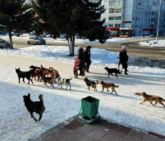 Типичная картинка в российских городах