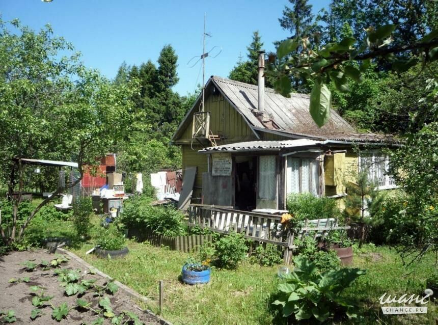 Нижегородские садоводы теряют землю, данную еще советской властью