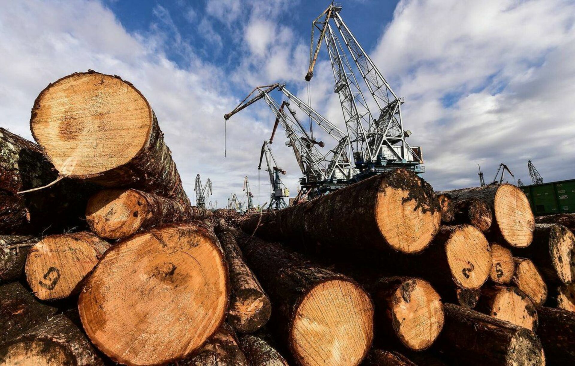 Древесина главное богатство этой зоны. Экспорт леса. Экспорт древесины. Природные ресурсы древесина. Лесная промышленность.
