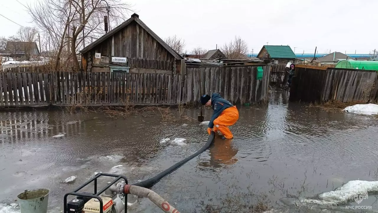 Затопило уже 600 дворов: в Алтайском крае объявили ЧС из-за паводков