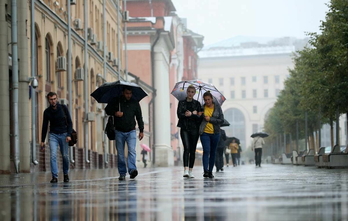 За ночь в Москве выпало около 30% месячной нормы осадков