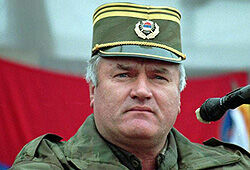 Гаага приняла Младича и обещала «уважать его достоинство»