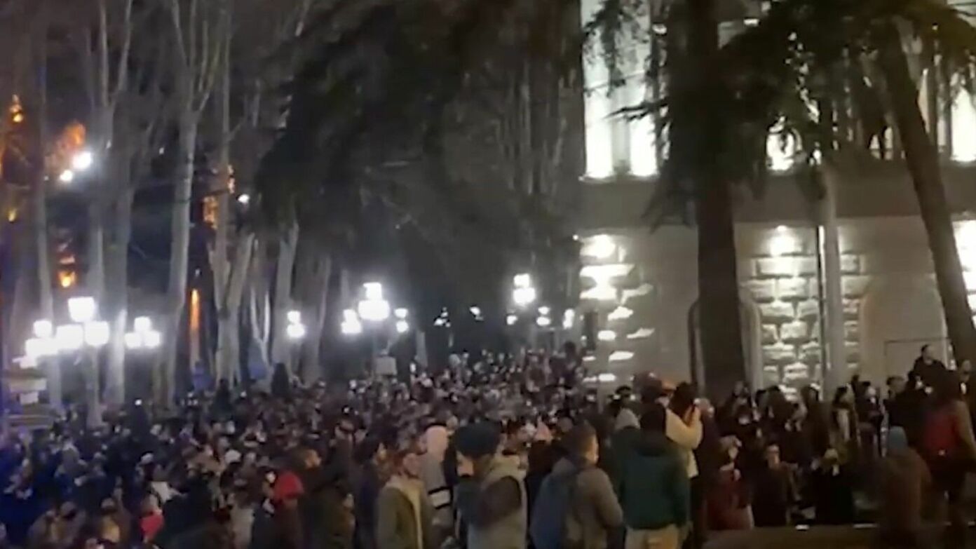 На протестной акции в центре Тбилиси задержали 66 человек (ВИДЕО)