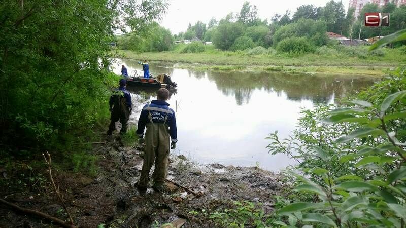 Нефтепродукты загрязнили одну из рек Сургута