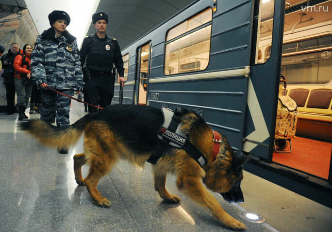 В Москве снова "заминировали" все станции метро, школы и детские сады