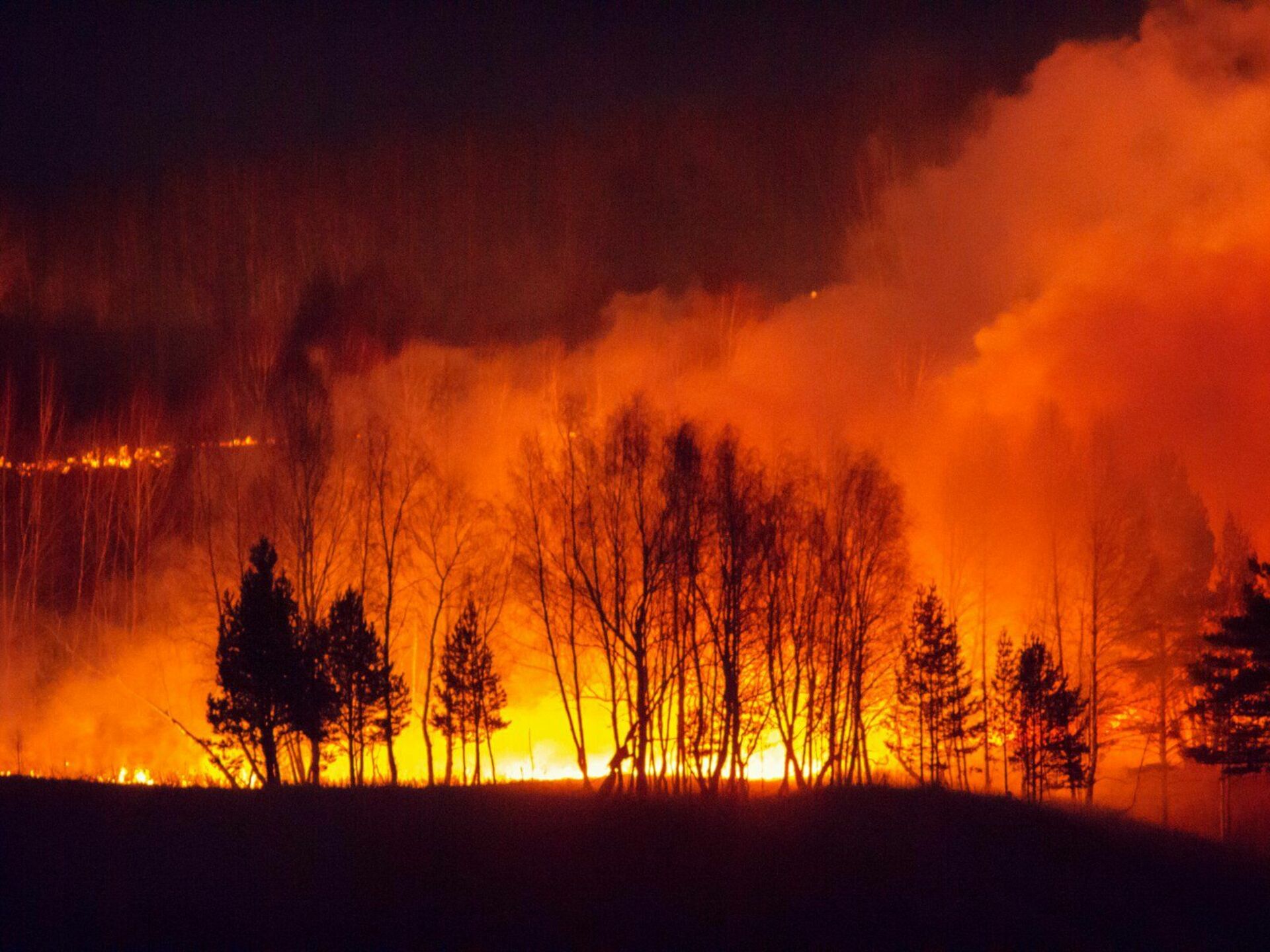 Последние лесные пожары в россии
