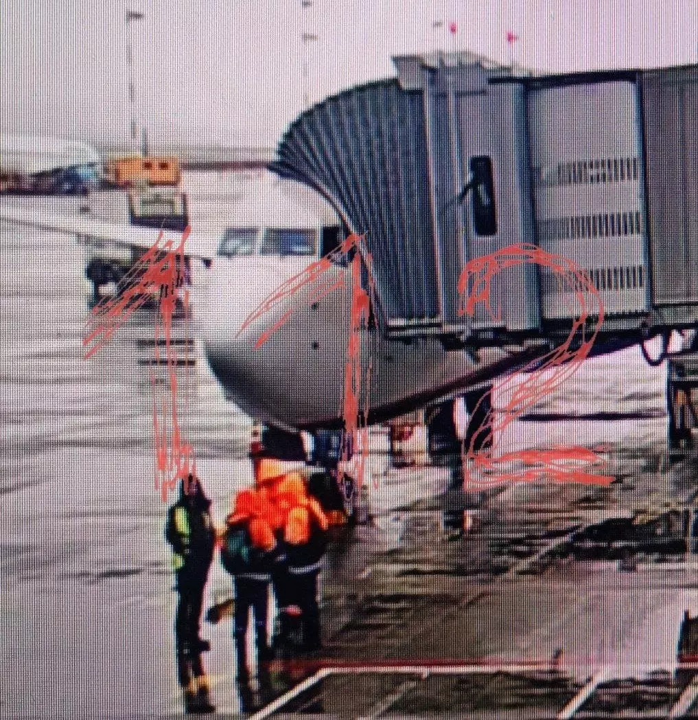 Фото самолета в аэропорту Шереметьево, в котором пассажирка сообщила, что у нее в рюкзаке бомба.