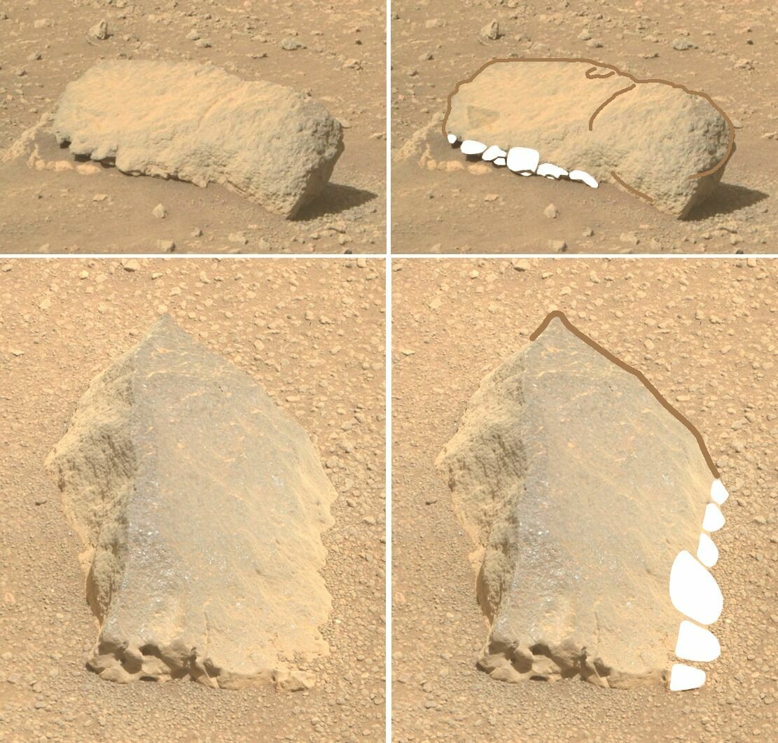 Реконструция головы и челюсти марсианского «обезьянодинозавра». Фото получены марсоходом Perseverance 15 и 17 апреля 2021 года. 