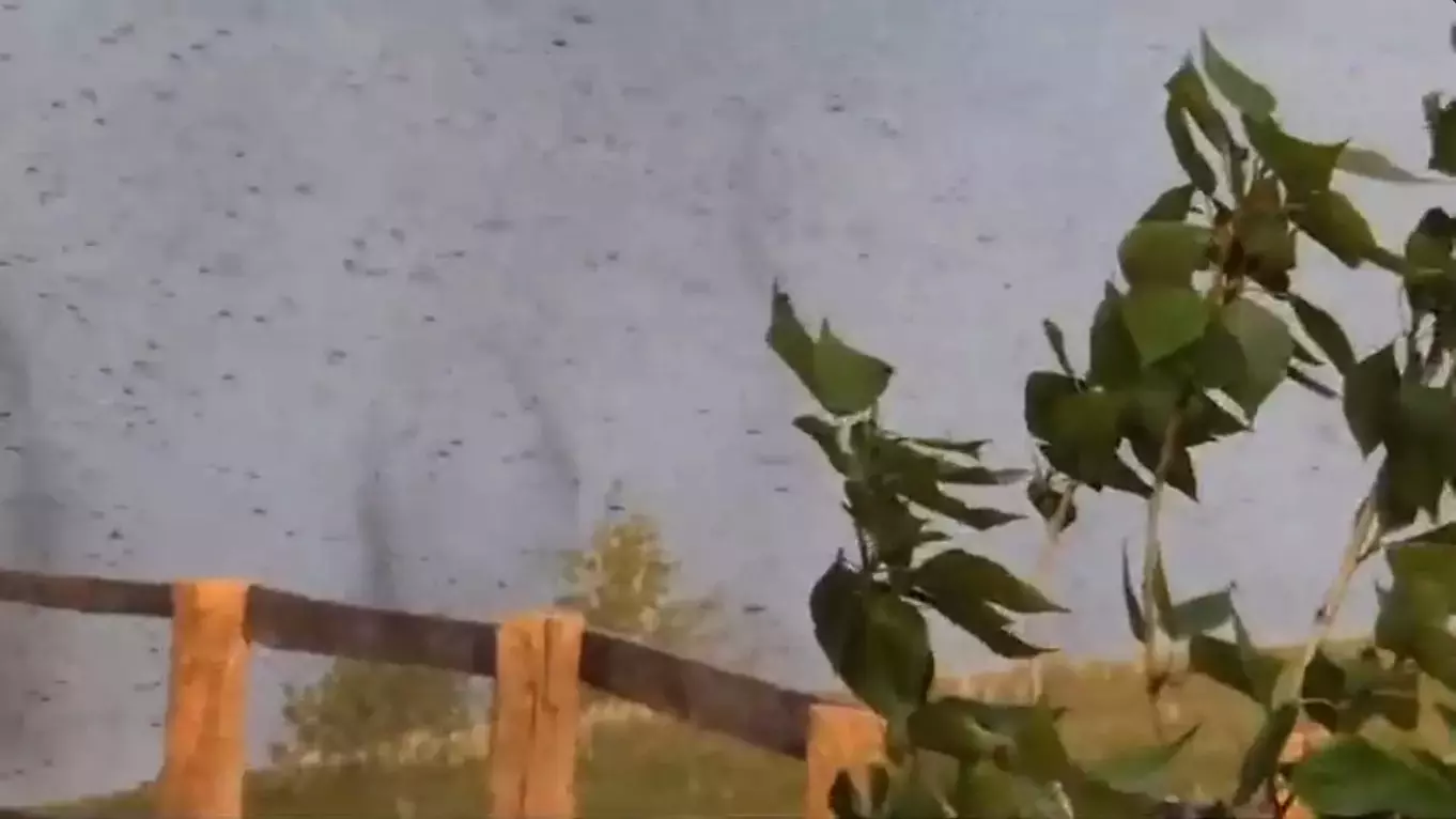 Скриншот видео оренбургского «торнадо из комаров».