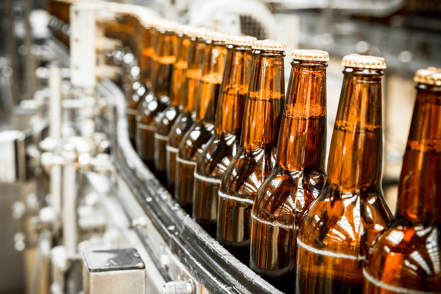 Роскачество предложило правительству изменить ГОСТ на пиво