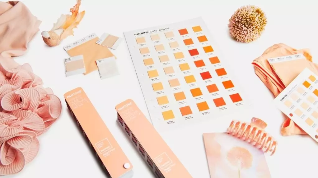 Институт цвета Pantone назвал главным цветом 2024 года — персиковый Peach Fuzz