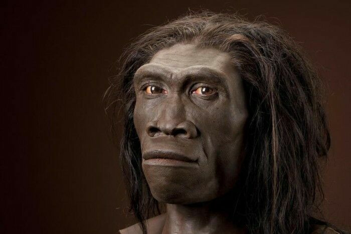 В Индонезии нашли останки древнего человека, которому 1,8 млн лет