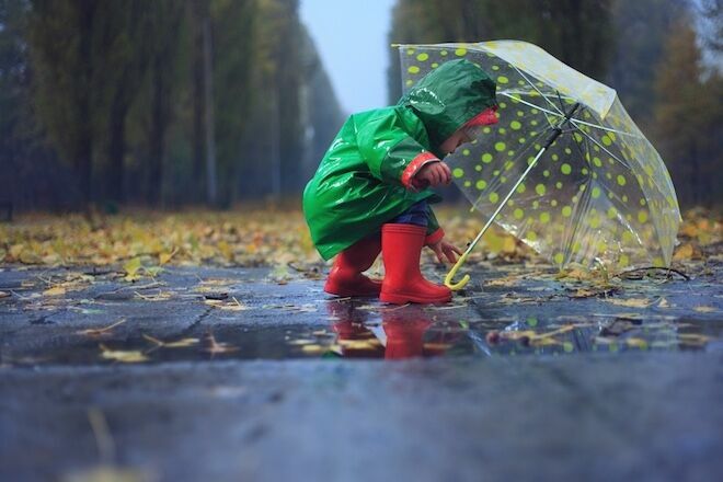 Неделя в Московском регионе будет прохладной и дождливой