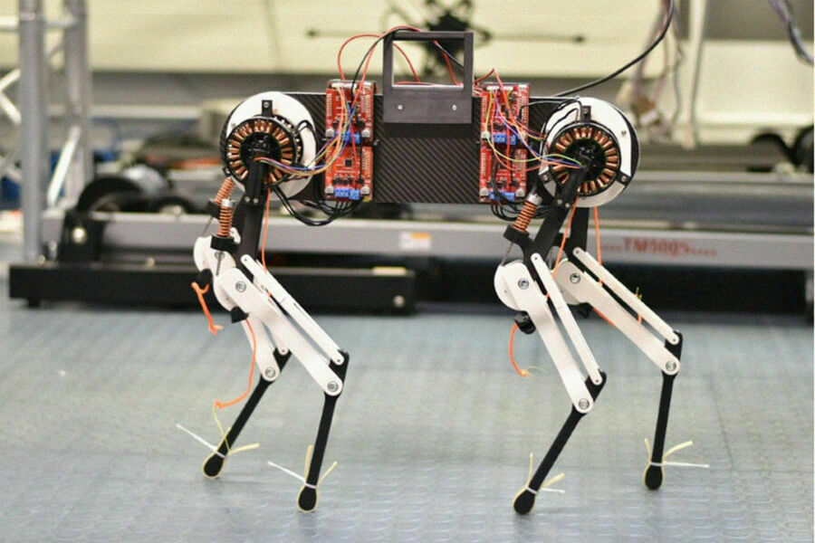 Ученые в Германии изобрели робота-собаку, которая научилась ходить за час