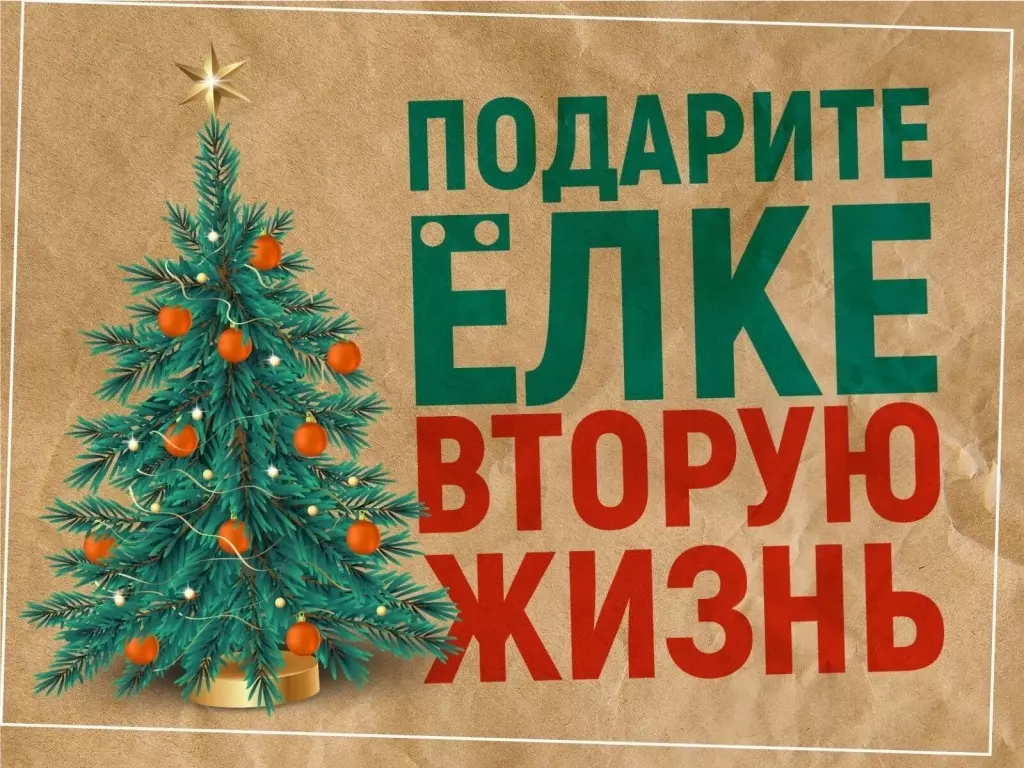 Анонсирована акция «Подари елке вторую жизнь» на официальном сайте администрации городского округа Шаховская.