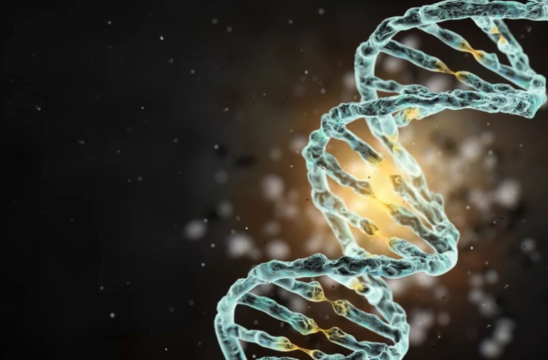 Ученые создали первую искусственную геномную ДНК