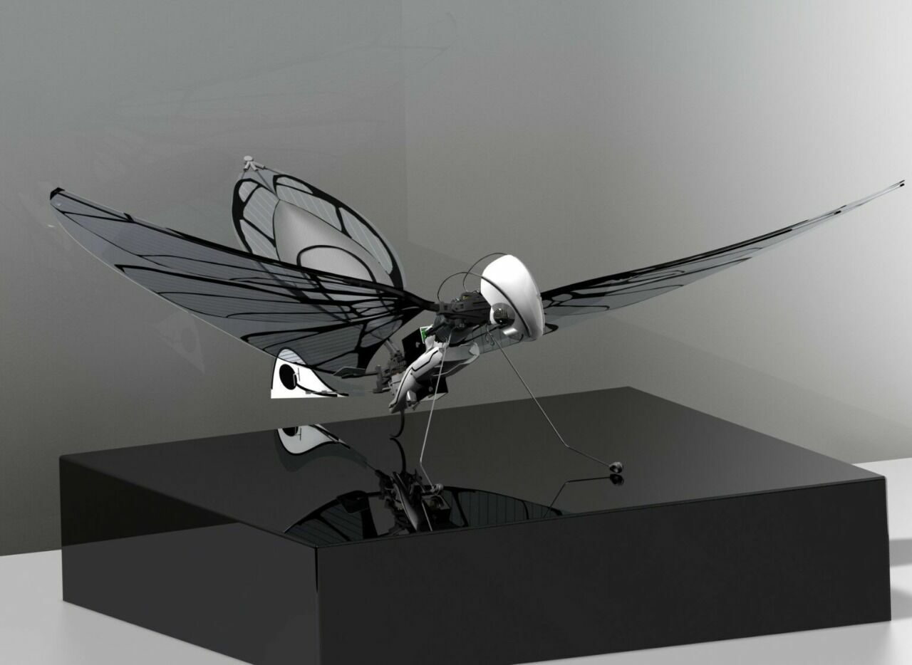 «Мухи» – шпионы и убийцы: во Франции разработан дрон с машущими крыльями