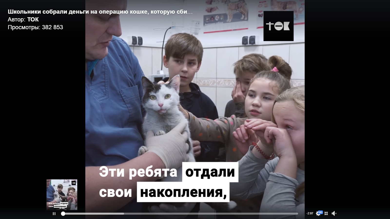 Урок милосердия: дети собрали деньги на операцию кошке (видео)
