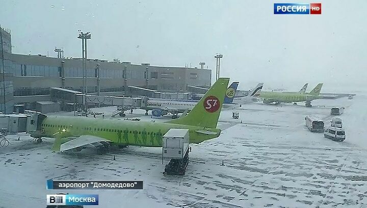 В Домодедове пассажирский самолет столкнулся с погрузчиком