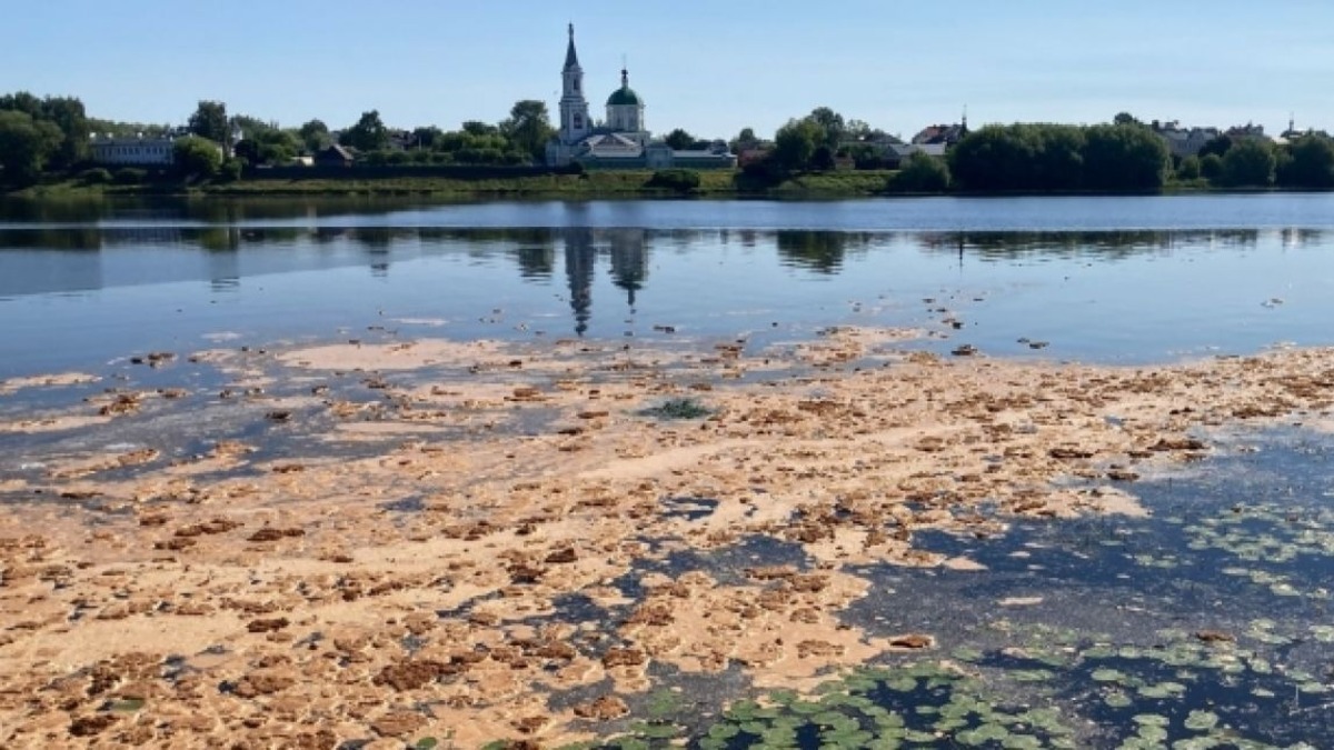 Мутная история: почему программы очистки Волги делают реку все более грязной