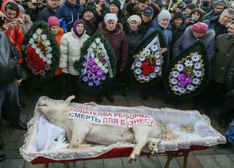 Демонстранты принесли свинью в гробу к зданию Рады