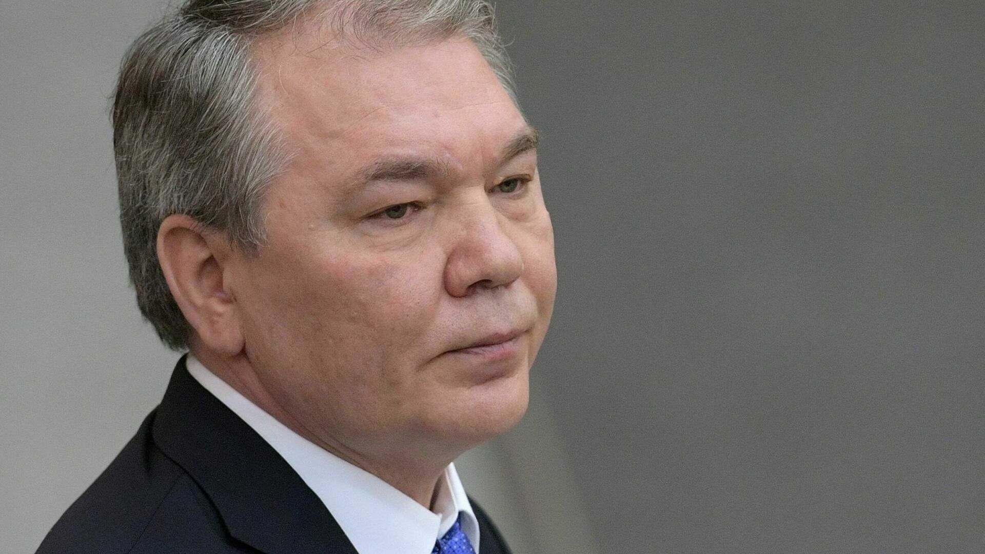 Калашников считает вопрос о присоединении ЛНР и ДНР к России «преждевременным»