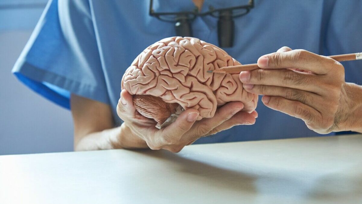"Аспирин бы хороший сделали…" Эксперты не верят в открытие лекарства от Альцгеймера