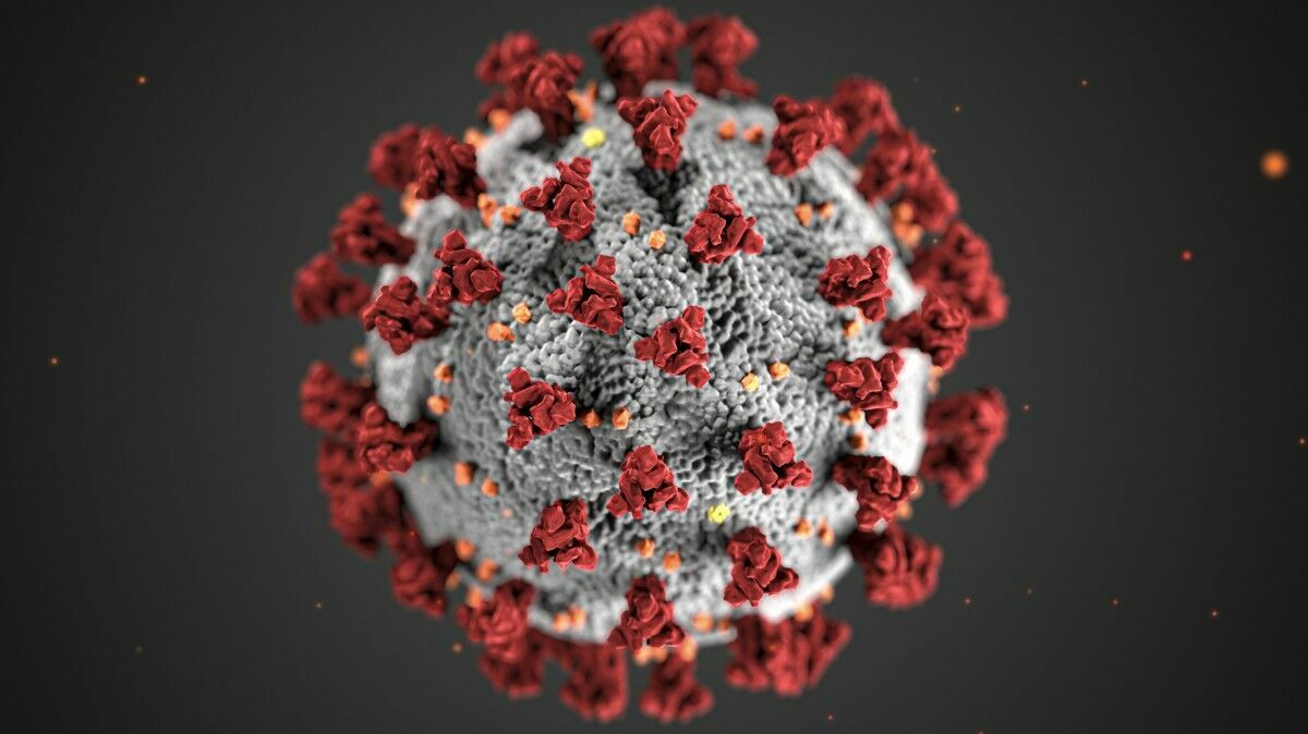 Вирусолог сообщил о росте смертности от коронавируса в России