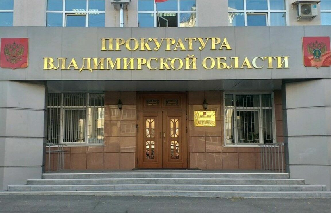 Владимирская прокуратура не признала слова «шавка» и «дебилка» оскорблениями