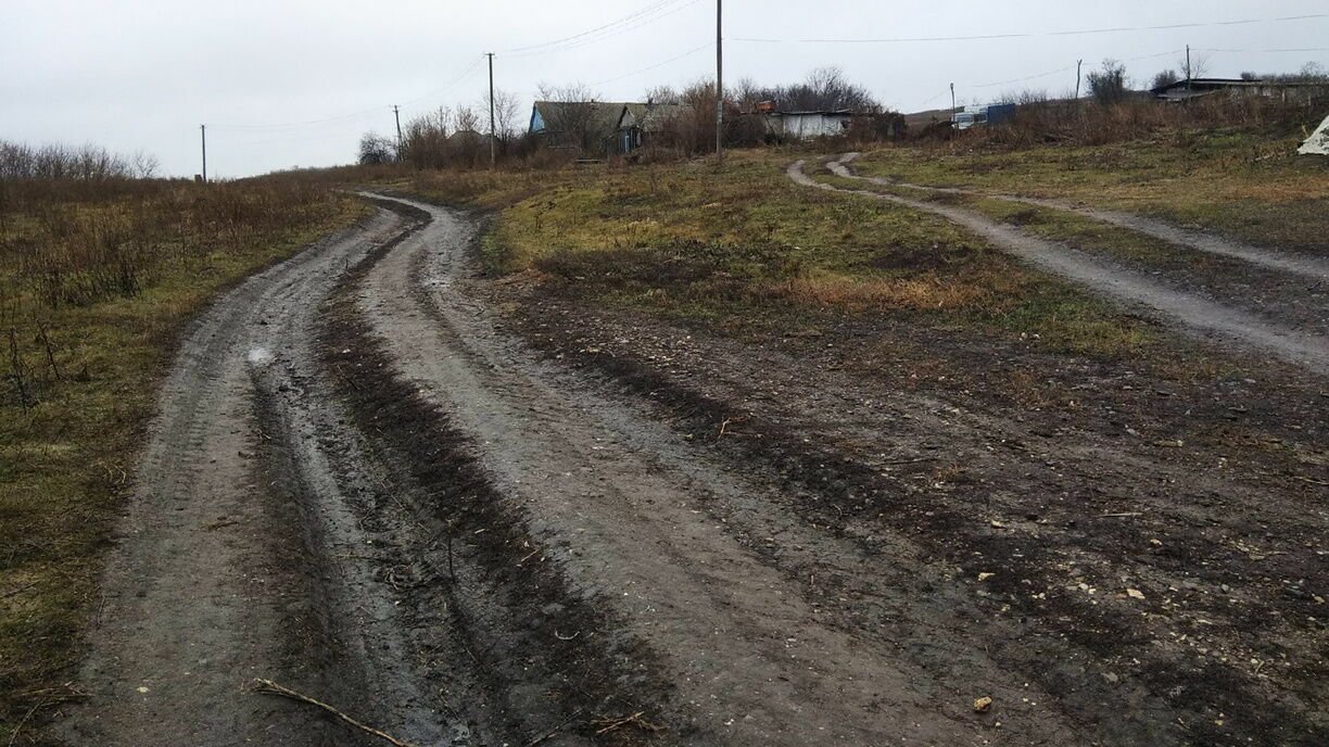 В Тверской области жителям начали бесплатно выделять землю под огороды