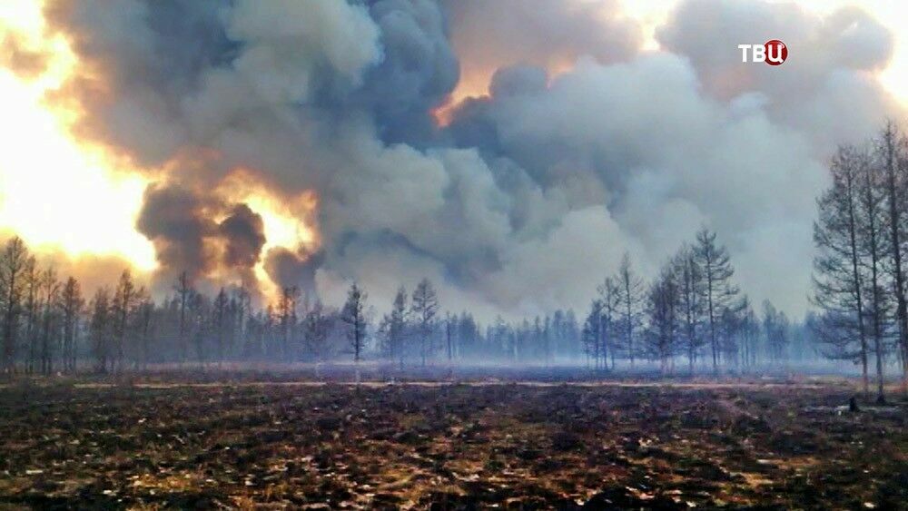 Пострадавшими от пожаров в Забайкалье признаны более 600 человек