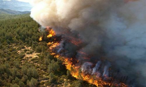 В Забайкалье минимум в три раза выросла площадь лесных пожаров