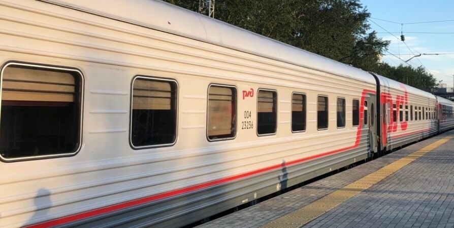 Массовое отравление детей произошло в поезде Мурманск — Адлер