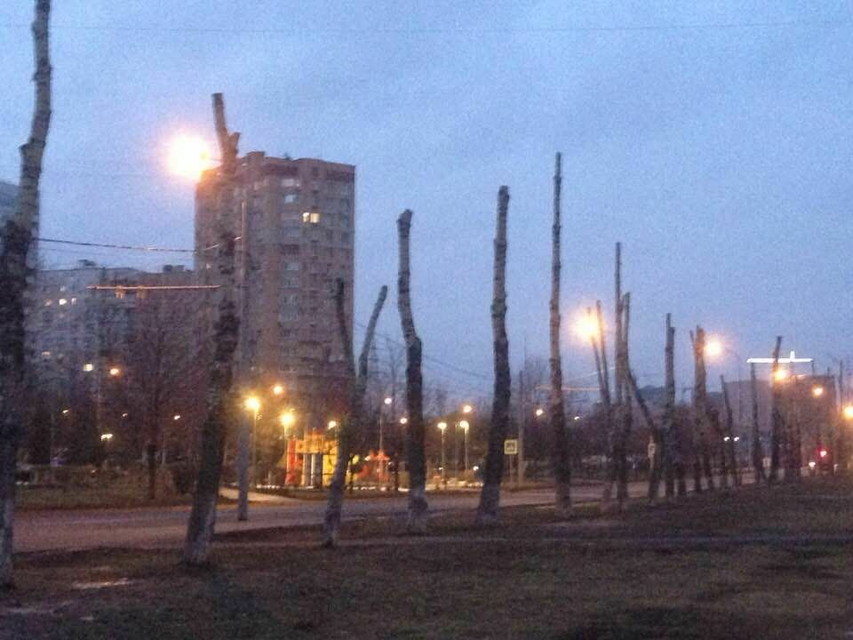 До уровня "остолопа": в Москве происходит массовое убийство деревьев