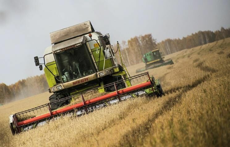 Россия стала крупнейшим в мире экспортером зерна