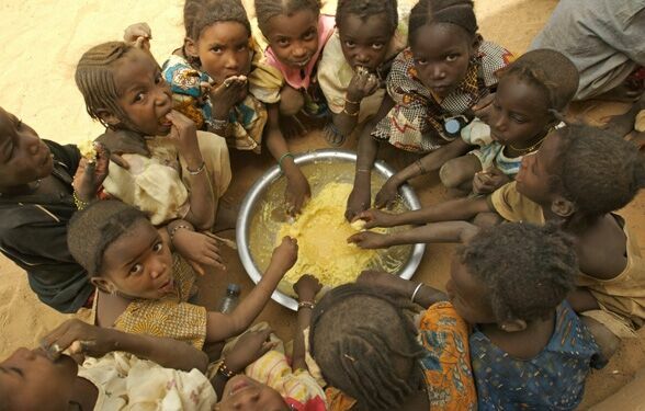 Число голодающих в мире в ближайшие 10 лет снизится более чем вдвое