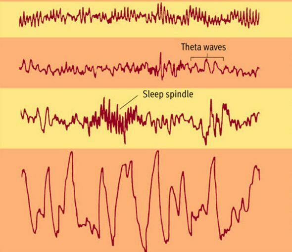 Нарушения сна могут свидетельствовать о начале старческого слабоумия