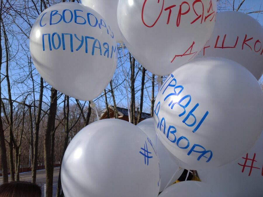 На воздушных шарах были надписи: "Отряды Давора" и шутливый весенний лозунг "Свободу попугаям" 