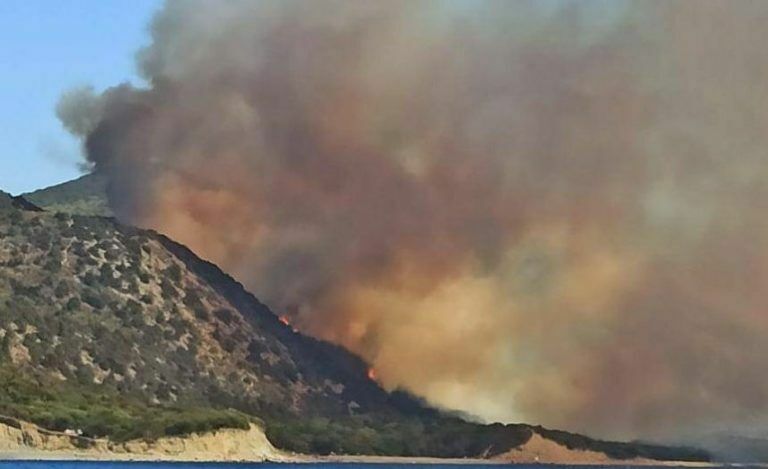 Сотни туристов эвакуируют из Анапы, где бушуют лесные пожары
