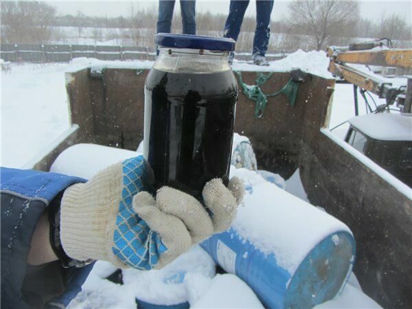 На обычной свалке в Дзержинске обнаружены 6 тонн опаснейших ядохимикатов