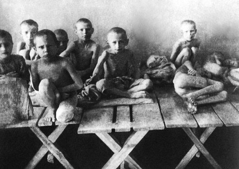 Нижняя палата Конгресса США признала голодомор на Украине геноцидом