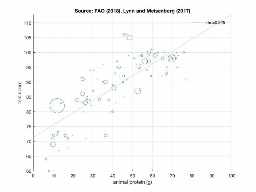 На графике по вертикали — показатели теста на IQ, по горизонтали — потребление животного белка (в граммах).