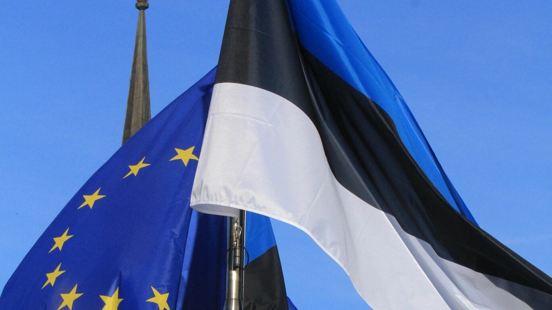 Эстония требует от Евросоюза закупать боеприпасы для Киева