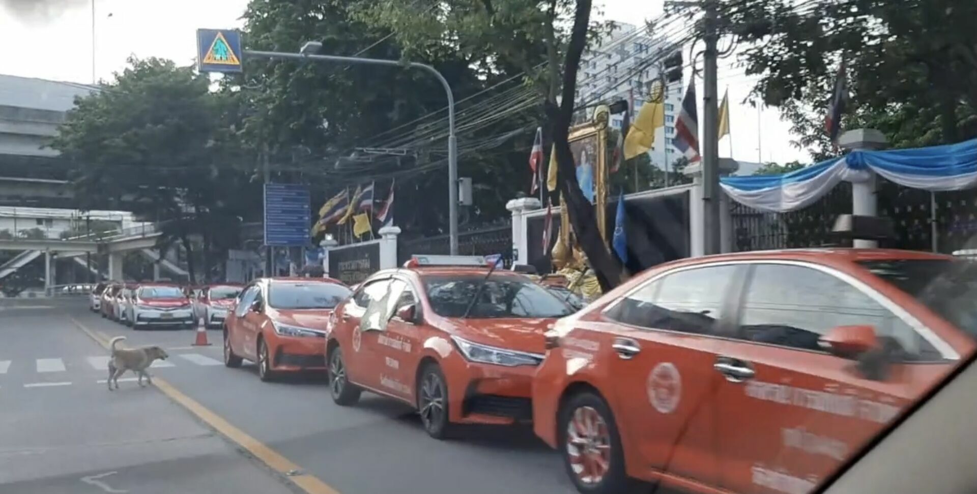 В Бангкоке начались автомобильные протесты против властей