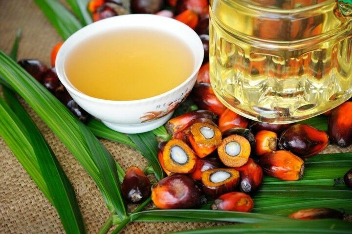 Пальмовое масло пометят «жирными буквами»