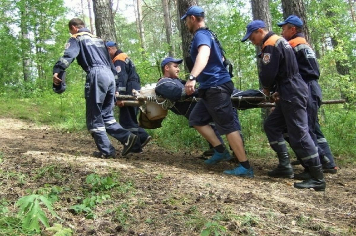 Подросток погиб при нападении медведя в красноярском нацпарке «Ергаки»