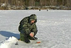 Путин заморозил распределение участков для платной рыбалки (ВИДЕО)